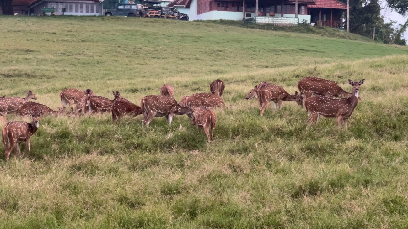 Timeline 1_01_08_25_12